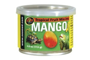 Tropical Fruit - Mango